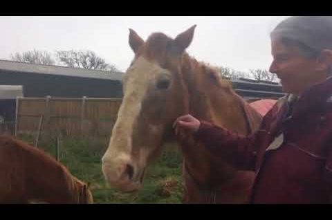 Bodster CIC | Isle of Wight Radio